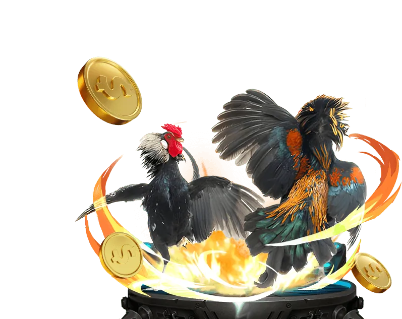 Các quân bài poker và chip